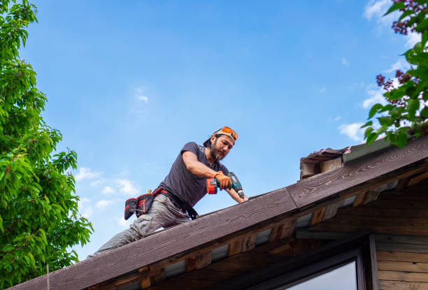 Best Commercial Roofing Services  in Shady Hollow, TX